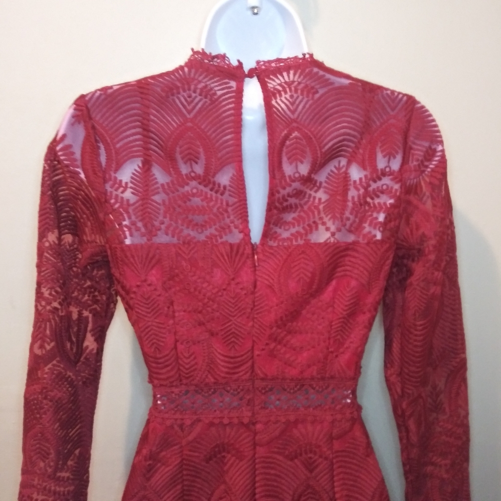Xenia Boutique Sexy Burgundy Embroidered Net Ruffled Hem Mini Dress - Picture 9 of 16